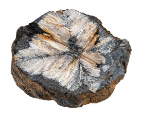 specimen of natural raw chiastolite rock cutout