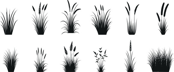 Black grass silhouette collection on white background, detailed grass vector illustrations for design, art, and nature themes. Elegant, minimalistic, and realistic grasses art - obrazy, fototapety, plakaty