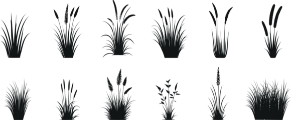 Foto op Aluminium Black grass silhouette collection on white background, detailed grass vector illustrations for design, art, and nature themes. Elegant, minimalistic, and realistic grasses art © Arafat