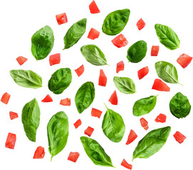 Realistic isolated basil leaves on transparent background , suitable element for scenes project.