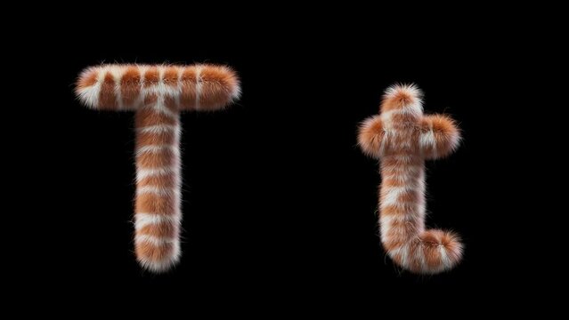 3D animation of a uppercase and lowercase woolen letter T. Wool in the style of the Giraffe animal. The file contains an Alpha Channel. ProRes4 RGBA