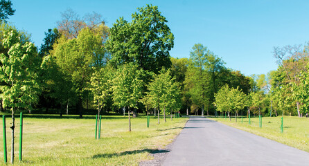 walking path in the park