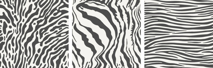 Set of three seamless zebra skin patterns. - 760548969