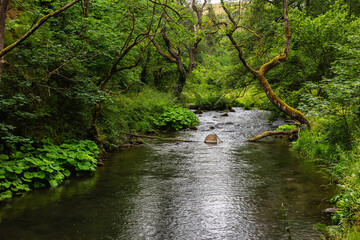 Obraz premium The River Dove viewed from the path between Dovedale and Milldale in the Peak DIstrict in Derbyshire, England