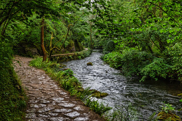 Fototapeta na wymiar The River Dove viewed from the path between Dovedale and Milldale in the Peak DIstrict in Derbyshire, England