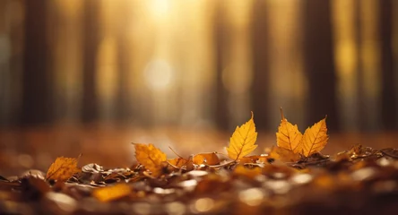 Fototapete Rund Blurred autumn nature background with golden leaves and sunlight  © triocean