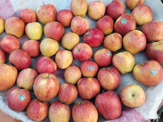Fresh fruit apple Red apple 