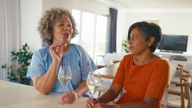 Two mature female friends relaxing at home drinking wine and talking together  - shot in slow motion