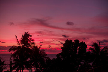 Pink sunset against the background of the palm trees. Amazing beautiful sunset on the islands. Colorful natural background