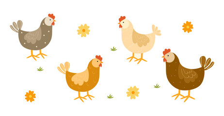 Collection of funny hen, chicken isolated on white background. Cute various domestic birds. Childish flat vector illustration, farm and poultry concept.