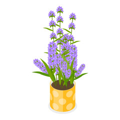 Naklejka na ściany i meble 3D Isometric Flat Vector Set of Garden Flowers, Different Plants in Pots. Item 2