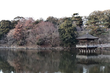 Fototapeta na wymiar 奈良県の奈良公園にある浮見堂