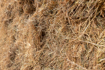 A close-up view of the background of many bales of compressed rice straw stacked.
