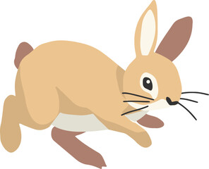 Cute rabbits, wild animals and pets, Easter