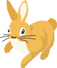 Cute rabbits, wild animals and pets, Easter
