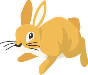 Cute rabbits, wild animals and pets, Easter