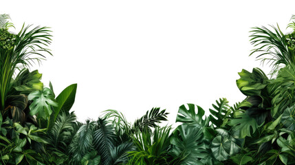 Tropical leaves foliage plant bush floral border isolated on clear png background and transparent background. Fresh and nature concept for nature decorative and flower element, AI generative.	 - obrazy, fototapety, plakaty