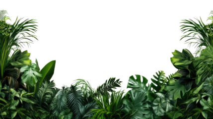 Tropical leaves foliage plant bush floral border isolated on clear png background and transparent background. Fresh and nature concept for nature decorative and flower element, AI generative.	
