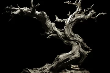 Fototapeten Hyper realistic lovecraftian bonsai tree  japanese art in moody black and white animated gifs © RECARTFRAME CH