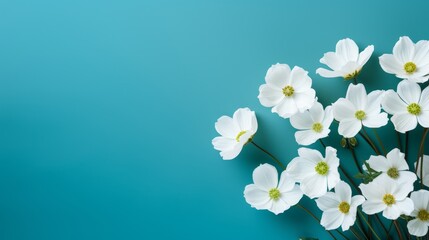 a white and green flowers on a blue background