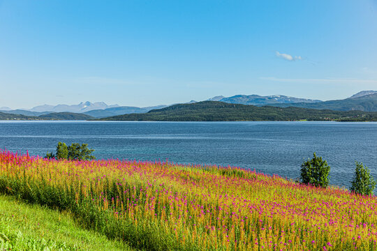 Weider&ouml;schen an eime See in Norwegen