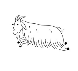 Vector isolated one single jumping goat side view  colorless black and white contour line easy drawing