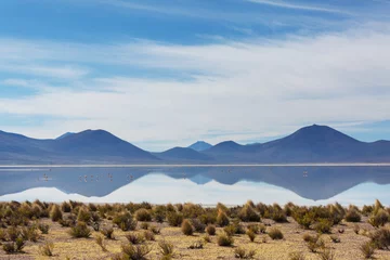 Deurstickers Lake in Chile © Galyna Andrushko