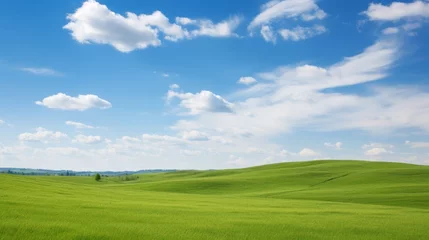 Fototapeten Green field with blue sky  © Media Srock