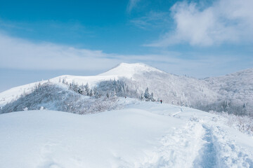 厳冬期武奈ヶ岳
