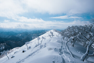 冬の山