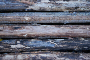 wood texture