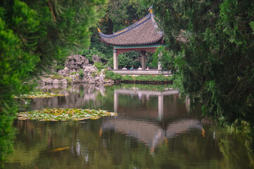 Chinese garden in spring