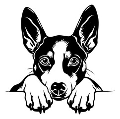 basenji dog face peeking over front paws vector illustration
