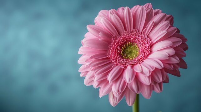  a pink flower with a green center on a blue background with a green center on the center of the flower.