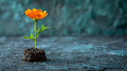  a single orange flower is growing out of a crack in a concrete block with a green stem sticking out of it. - obrazy, fototapety, plakaty