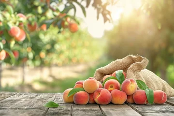 Tuinposter Ripe peaches in a burlap sack on a wooden table in the garden © kanurism