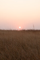 Sunset in the beach cliff