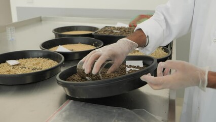 A greenhouse worker fills a flask with seeds.