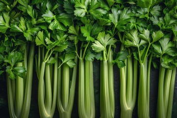 Celery and Parsley on Display