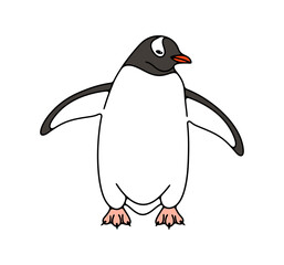Subantarctic penguin or gentoo penguins. Animal, bird, avian, feathered, antarctica and nature, illustration