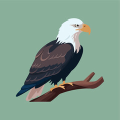 bald eagle flat vector illust...