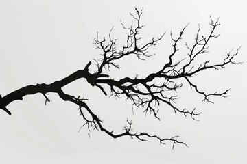 A minimalist black and white photo of a solitary bare tree. Perfect for nature or abstract concepts