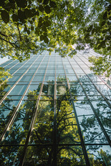 Sustainable green building. Eco-friendly building. Sustainable glass office building with tree for reducing carbon dioxide. Office with green environment. Corporate building reduce CO2. - obrazy, fototapety, plakaty