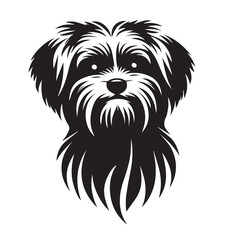 Maltese Dog Silhouettes in Sitting, Standing, Jumping positions, Maltese face silhouettes clean vector outlines, isolated on white background, cute dog puppy with hair, cuteness