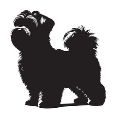 Maltese Dog Silhouettes in Sitting, Standing, Jumping positions, Maltese face silhouettes clean vector outlines, isolated on white background, cute dog puppy with hair, cuteness