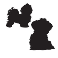 Maltese Dog Silhouettes in Sitting, Standing, Jumping positions, Maltese face silhouettes clean vector outlines, isolated on white background, cute dog puppy with hair, cuteness