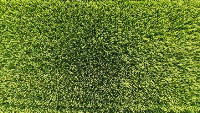 Aerial photography drone countryside agriculture and forest