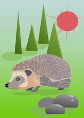 small hedgehog in the forest - 760642587