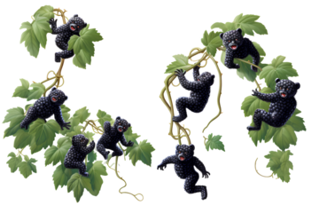 black and white grapes