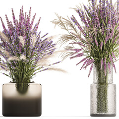 Set of bouquets of wild flowers vase lavender sage isolated on white background